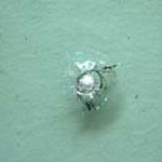 wordpress-logo-stacked-rgb