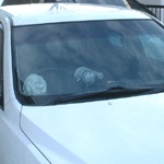 wordpress-logo-stacked-rgb